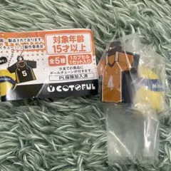 ハイキュー×MISAKA ダブルスイング西谷夕ver