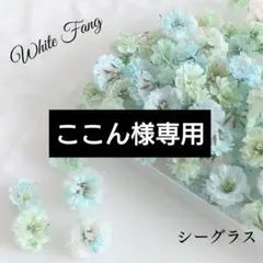 ここん様 リクエスト 2点 まとめ商品