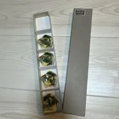 Item thumbnail for item e4801243-ade1-4892-995e-2bce2c60fbc1