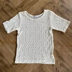 PAGEBOY レース柄シアー半袖トップスFサイズ