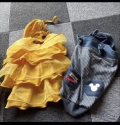 犬服 フリルドレスとパンツ3点セット