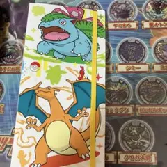 ポケモンカード151 カードファイルセット フシギバナ リザードン