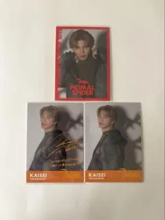 THERAMPAGE ランペ 武知海青 フォトカード 3枚セット シクレ