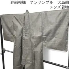 メンズ着物　アンサンブル　大島紬　変わり市松　春画　着物　103b d