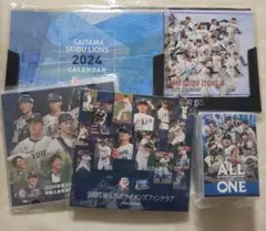 埼玉西武ライオンズ⭐2025選手カード全選手&カレンダー&DVD