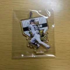 ポム夫様 リクエスト 2点 まとめ商品