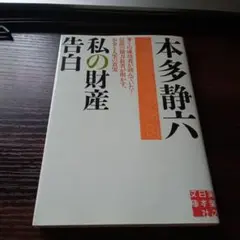 私の財産告白
