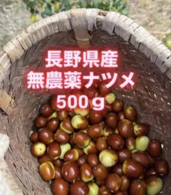 mituki様 リクエスト 2点 まとめ商品