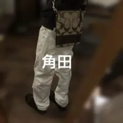 希少 小型 coach ショルダーバッグ swag drip - メルカリ