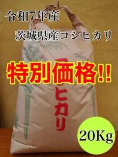 送料無料】令和7年産 徳島県産アキサカリ 玄米20kg - メルカリ