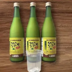 沖縄 シークワーサー 100%500ml 12本セット賞味期限26.11.03 - メルカリ