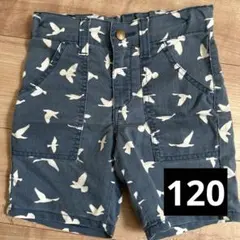 Lee 子供用半ズボン ハーフパンツ 120㎝