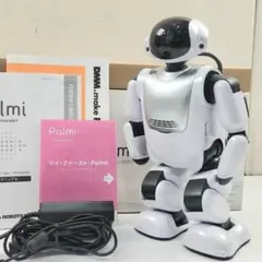 現状 Pepper 対話型ロボット SoftBank Robotics - メルカリ