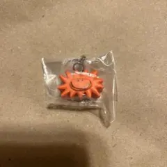 DAISUKE KONDO めじるしアクセサリー　taiyo