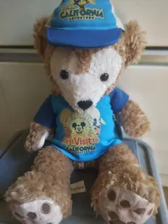 ダッフィー２体セット