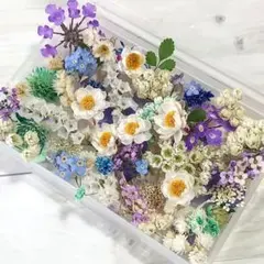 #200 ❤️寒色系小花詰め合わせ ドライフラワー