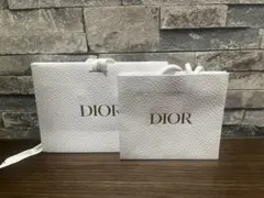 Dior ショップ袋 大小セット
