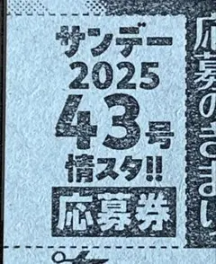 週刊少年サンデー 43号 情スタ‼︎ 応募券 1枚