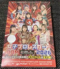 希少　店頭用　小倉優子　ガンスターヒーローズ　販促ポスター 希少 店頭用 小倉優子 ガンスターヒーローズ 販促ポスター - メルカリ