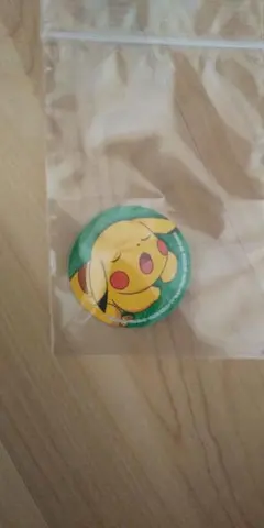 ポケットモンスター ピカチュウ 特製コレクションシール