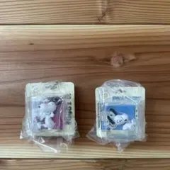 PEANUTS スヌーピー　ガチャガチャ　パッケージミニチュアコレクション