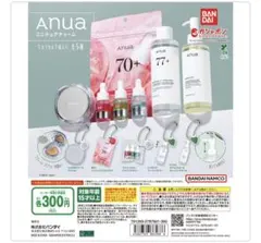 Anua ミニチュアチャーム カプセルトイ 全5種