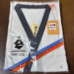 Item thumbnail for item 5dcd90ee-1f61-47b8-9013-2140d3e05080