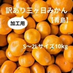 訳あり三ヶ日みかん青島S〜2Lサイズ10kg