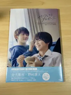 ドラマ　パーフェクトプロポーズ　公式ビジュアルブック　野村康太　金子隼也