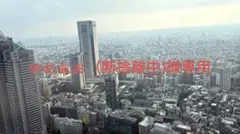 wぉぉぉ（断捨離中)様専用