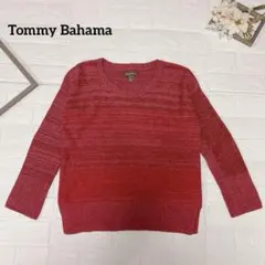 Tommy Bahama / トミーバハマ グラデーション ニット S レッド系