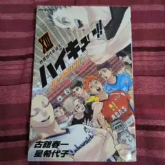 ハイキュー!! ショーセツバン!! 13