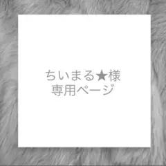 ちいまる★様専用ページ　あみぐるみキーホルダー