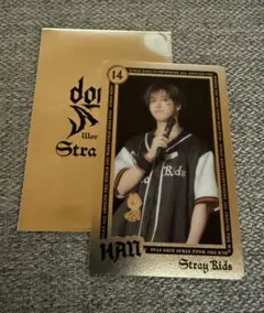 Stray Kidsスキズエコパランダムライブフォトカード　ヒョンジン、リノ スキズ stray kids エコパ ランダムフォトカード ヒョンジン