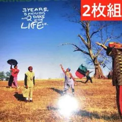 アレステッド・ディベロップメント✨2枚組