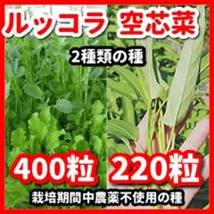 あゆみ様 リクエスト 2点 まとめ商品