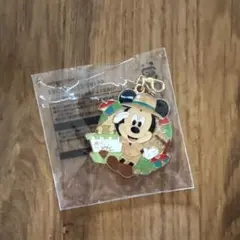 ディズニーランド ジャングルカーニバル ミッキーチャーム