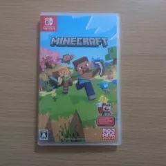 Minecraft Nintendo Switch版　美品