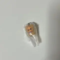 SKZOO めじるしアクセサリー PuppyM