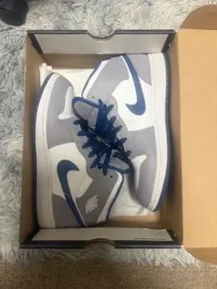 Nike Air Jordan 1 トゥルーブルー 25cm
