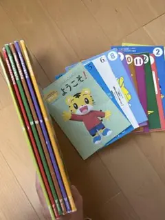 Item thumbnail for item b05c9833-1dc0-43a6-a9da-91cbc3c43a5c