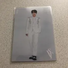 SEVENTEEN ディノトレカ