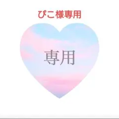 ぴこ様専用ページ 真紅/黒