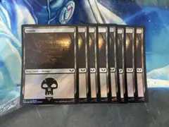 MTG 【EN】【サージ・Foil】(311)《沼/Swamp》[40K 8枚のサムネイル