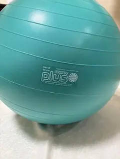 【返品可能】【ポンプ付き】バランスボール　ギムニク　プラス　65 緑