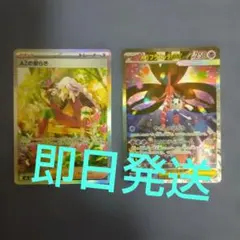 メガフラエッテSAR AZの安らぎSARセット