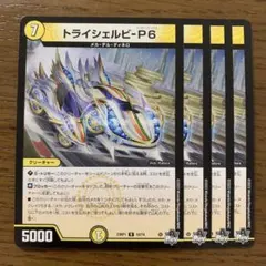 99227 トライシェルビP6