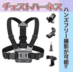 Item thumbnail for item 1ae0036e-d060-4f22-af06-3191d475774b