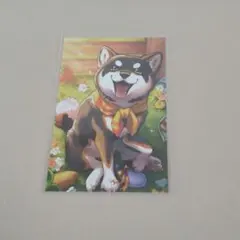 黒井しば ノスタルジアコレクション2025カード