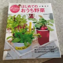 はじめてのおうち野菜 : おいしくて安心な野菜を作ろう!